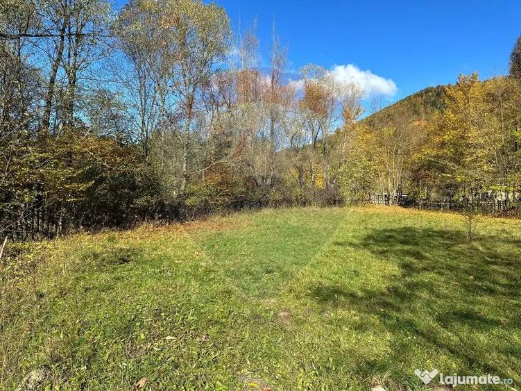 Teren de vanzare Cuiejdel 1350 mp - 15