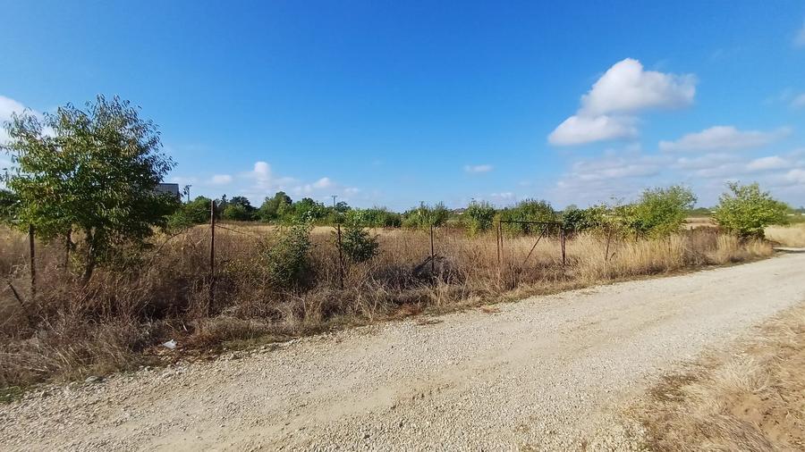 Teren Izvorani -Padure -COR - 3