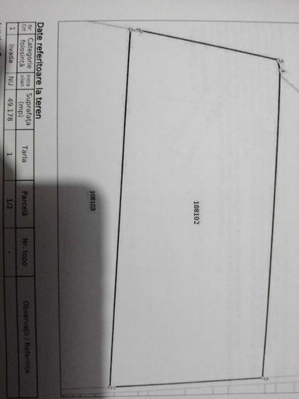 Vand livada de nuci 5ha - 6