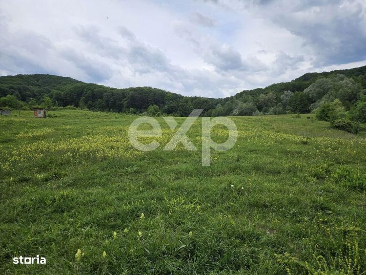 Teren 11,935mp Margineni / Strada Dubas - 1