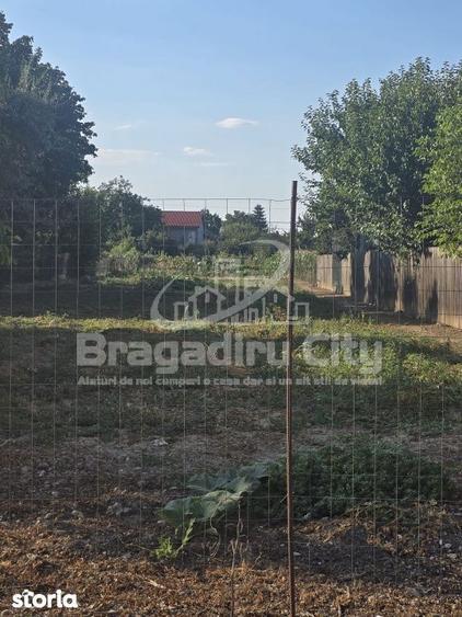 Teren toate utilitatile stradal Cornetu - 1