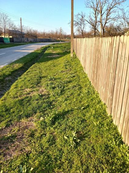 Vand teren generos 1700 mp cu casa in constructie in Smirna, Ialomi?a - 5