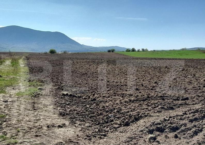 TEREN Extravilan 15000 MP in Zona Codlea - 2