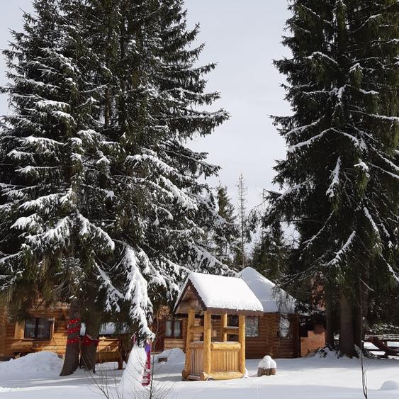 De Vanzare Cabana in   Poiana Negrii cu Clasificare la  Ministerul Turismului - 7