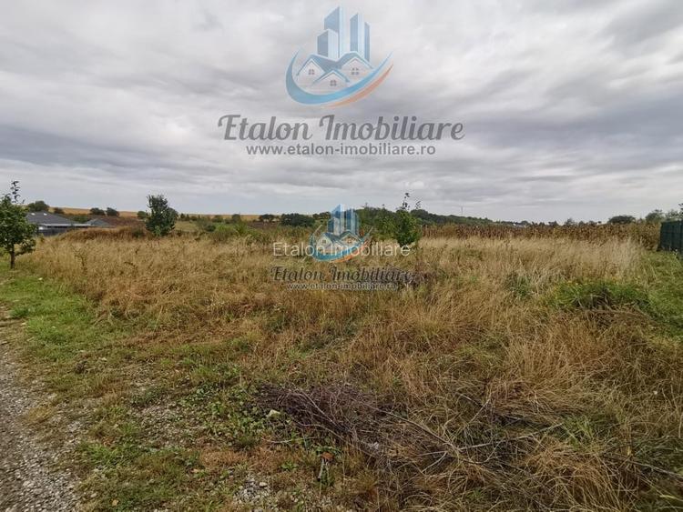 Teren drept 1260 mp, deschidere de 50 m, Loc. Dobreni, Jud Neamt