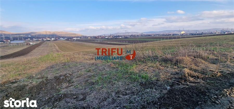 Teren de vanzare Zona Barabant! - 3