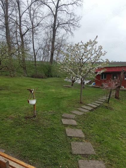 Proprietate deosebita Razoare - 5