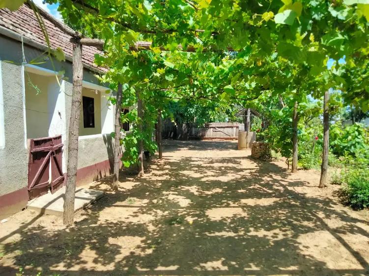 Vand casa in Voivozi, comuna ?imian - 2