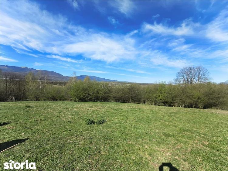 Teren de vanzare in Talmaciu zona Bratanu - 1