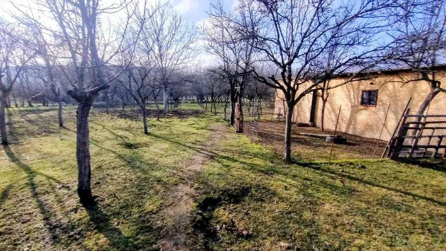 Casa cu gospodarie - 4