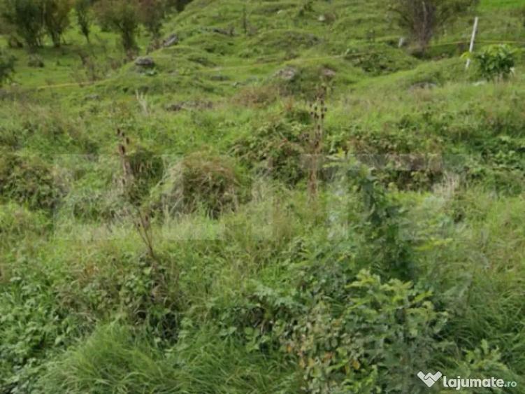 Teren intravilan 5000 mp, investi?ie intr-o zona in dezv - 2