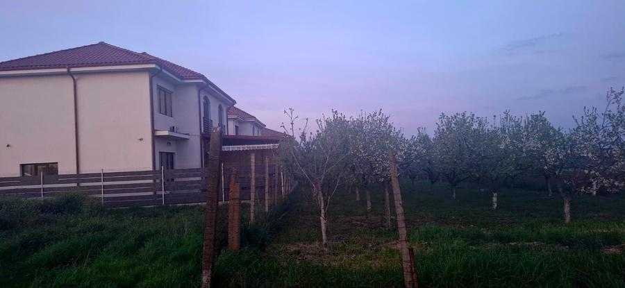 Teren Construcții intravilan de 2500 mp, în Lazu