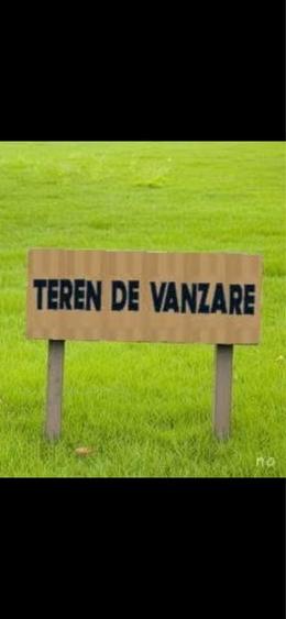 Teren de vanzare 5000 m Magurele ilfov variante - 2