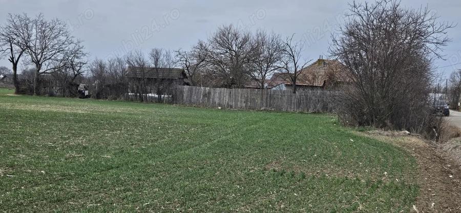 Casa batraneasca ?i teren intravilan - 2