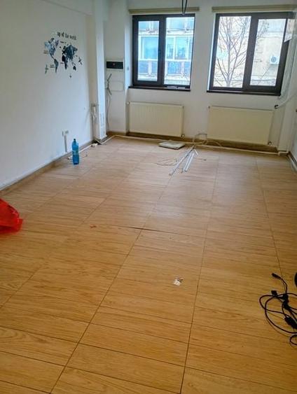 VIla cu 5 camere in zona Mosilor-Obor - 2