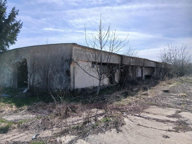 Teren intravilan 16400 mp, Balotesti-Saftica - 50 euro/m2 - 8