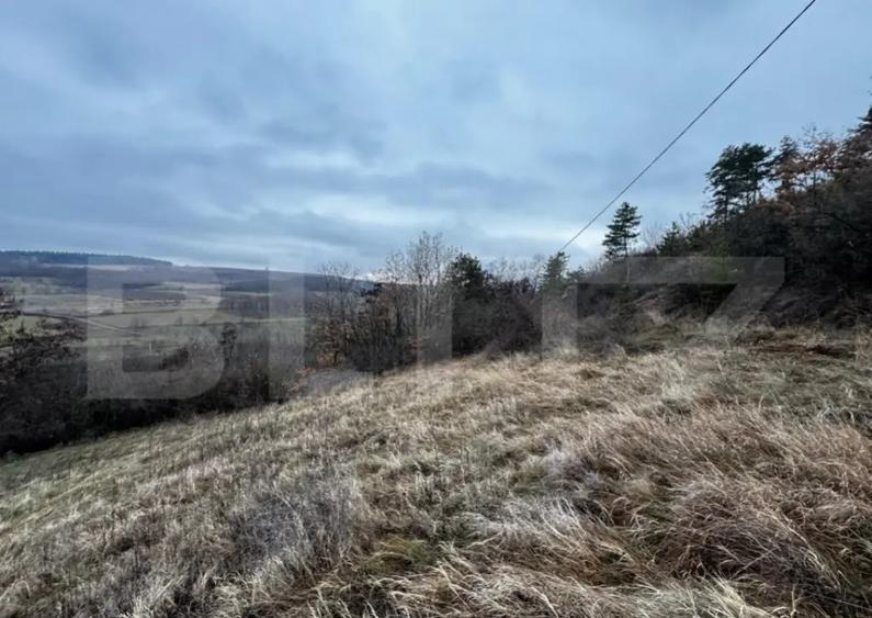 Teren extravilan 4300 mp, zona Criseni - Paclisa - 5