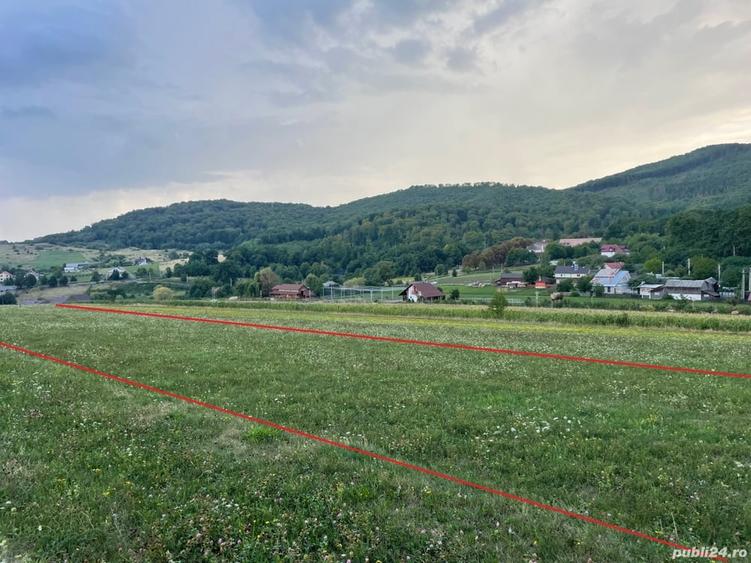 Teren intravilan investitii Targu Neamt - Baile Oglinzi (pensiune, cartier rezidential, vile etc) - 5