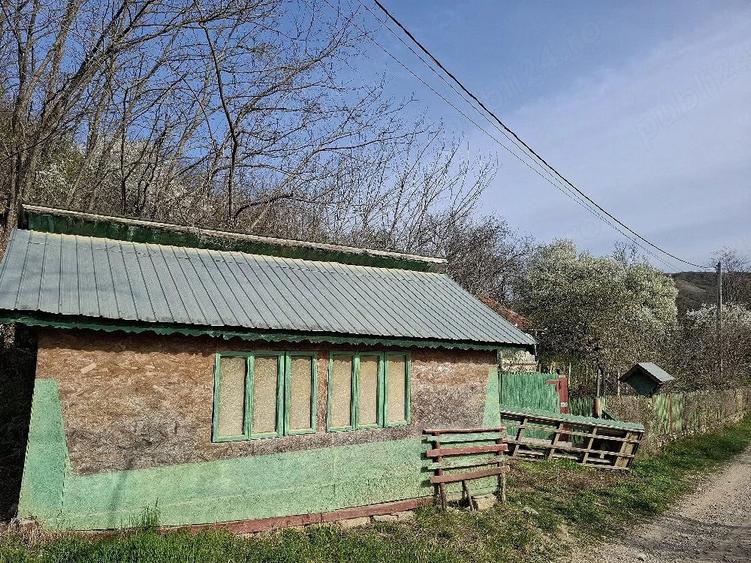 Teren cu salcami si faneata - 1