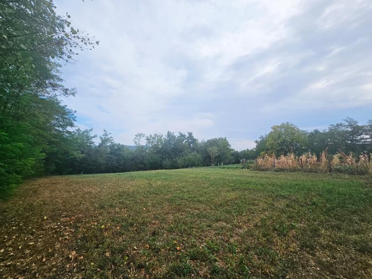 Teren intravilan, cu priveliște– Vălenii de Munte - 3