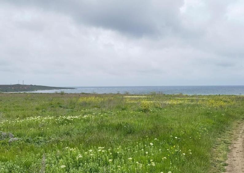 Costinesti teren intravilan 12600 mp distanta de Beach Please 500 m - 1