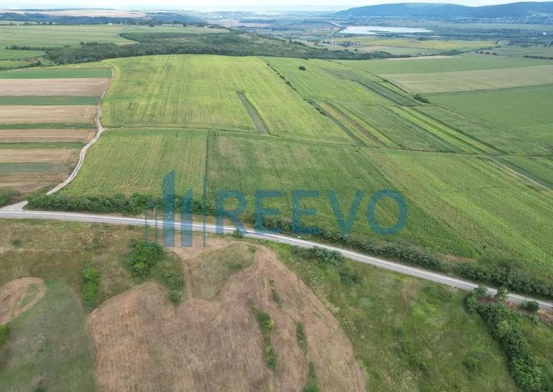 Teren de 3.600 mp Racova - 4