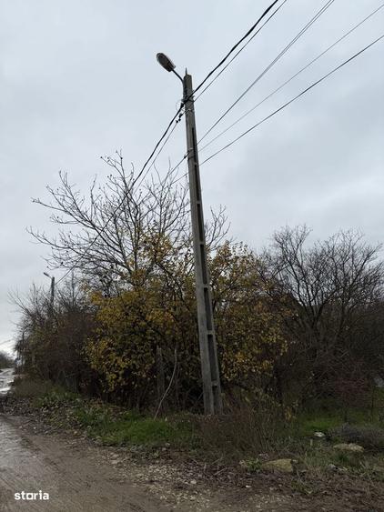 Vanzare teren intravilan 5014mp Afumati - Strada Sperantei - 3