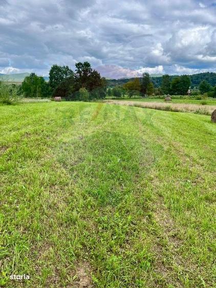 Teren 1,884mp Berbesti / Drumul secundar - 5
