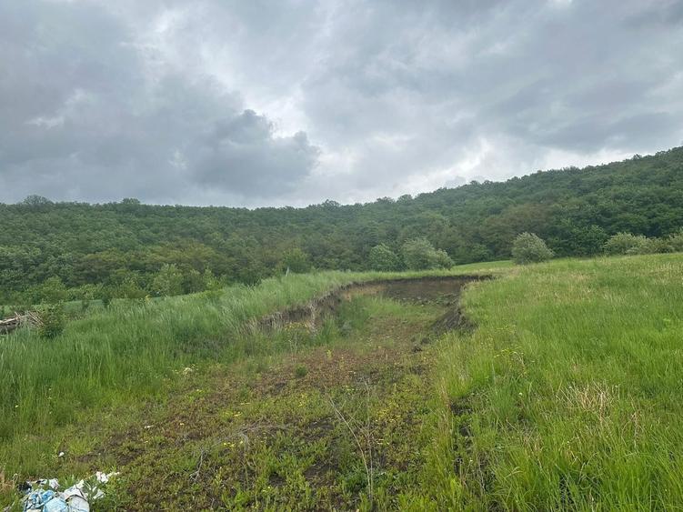 Teren de vanzare - 1