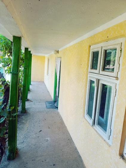 Casa de vanzare sat Tes jud Timis - 3