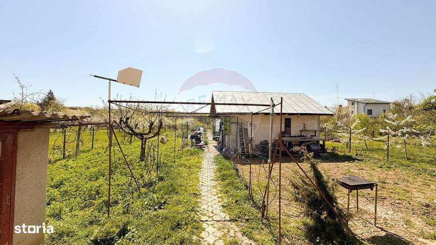 2 CASE + TEREN GENEROS 1592 MP | Langa Codrii Vlasiei | Peris - 10