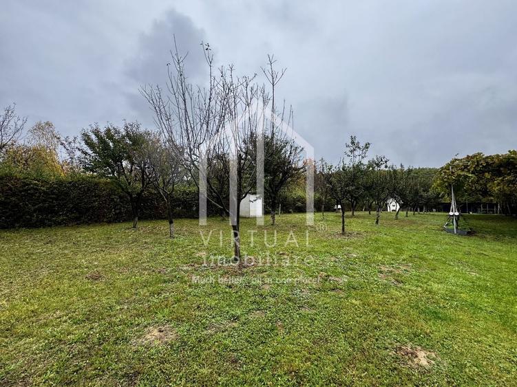 Teren intravila, 1079mp, destinatie casa de vacanta, Rasinari - 2