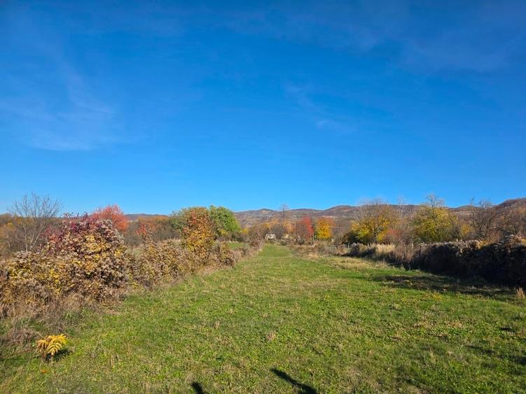 Teren intravilan in Buzau, sat Tega, 3300 mp - 2