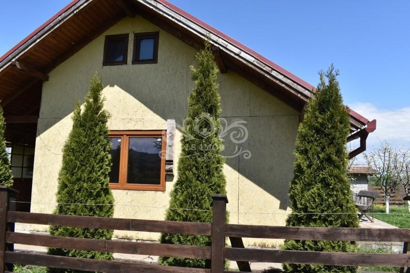 TEREN INTRAVILAN CU CONSTRUCTII AGROTURISTICE SI CABANA CODLEA - 7