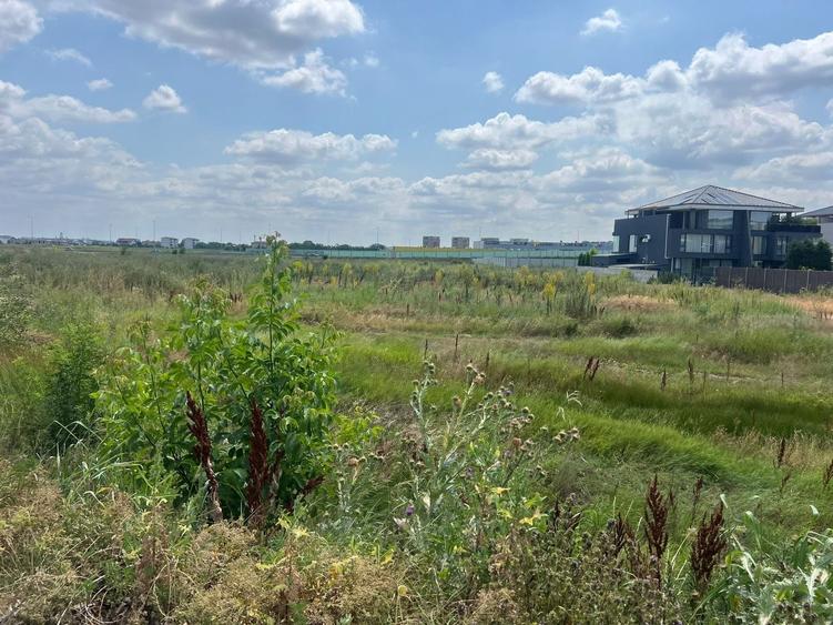 De Vânzare Teren Intravilan – 2.500 mp –3 Deschideri Stradale – PIPERA - 4