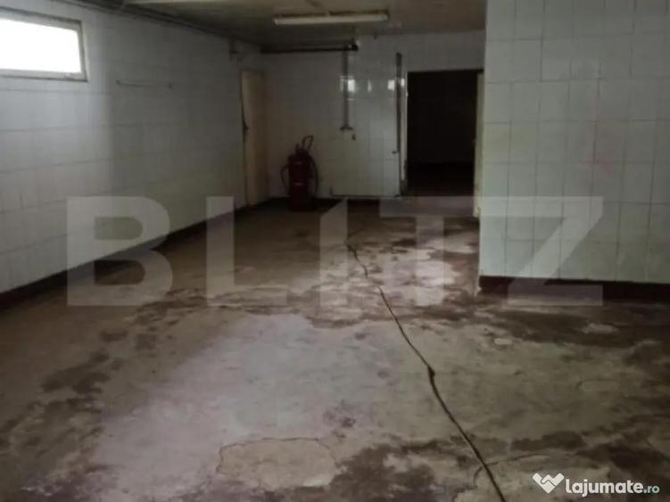 Hala industriala, 5 camere, 895mp, Sangeorgiu de Mures - 3