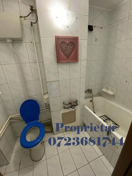 Nicolae Grigorescu, Proprietar - 4