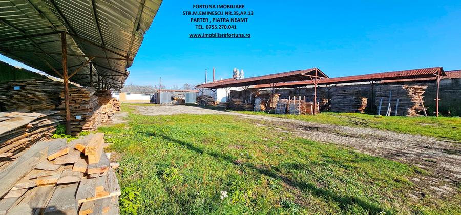 Complex imobiliar format din cladiri si constructii industriale+teren intravilan - 8