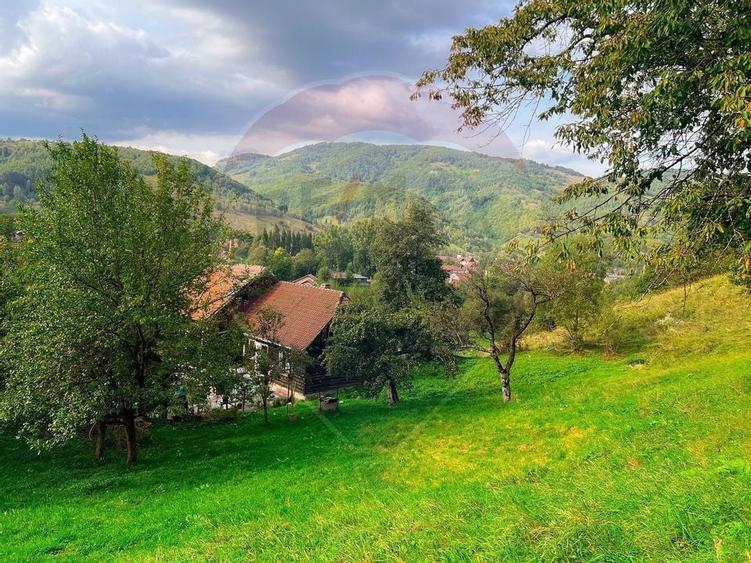 Teren 6,135mp Moieciu de Jos / Strada Principala - 12