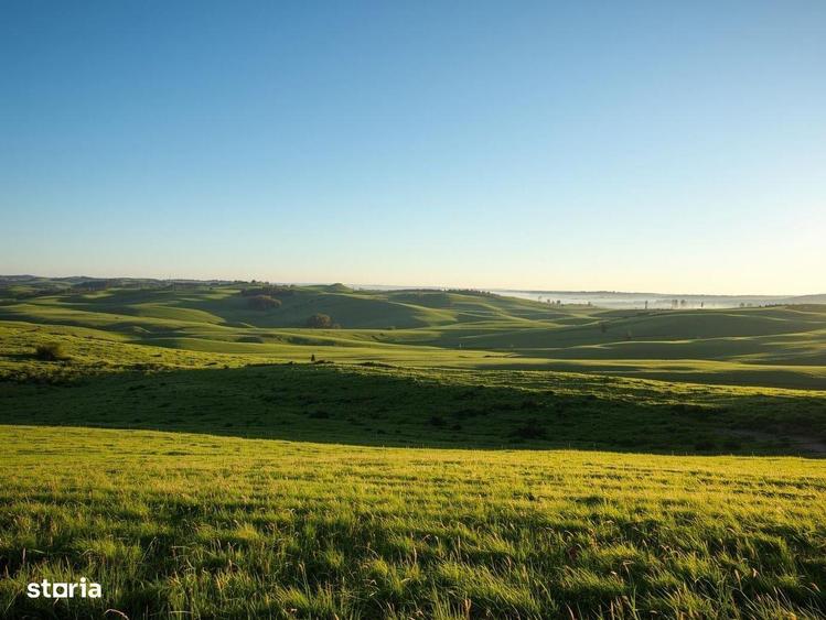 Vanzare Teren Extravilan Arabil, Pasune Chesint, Zabrani Arad, 48.86ha - 3