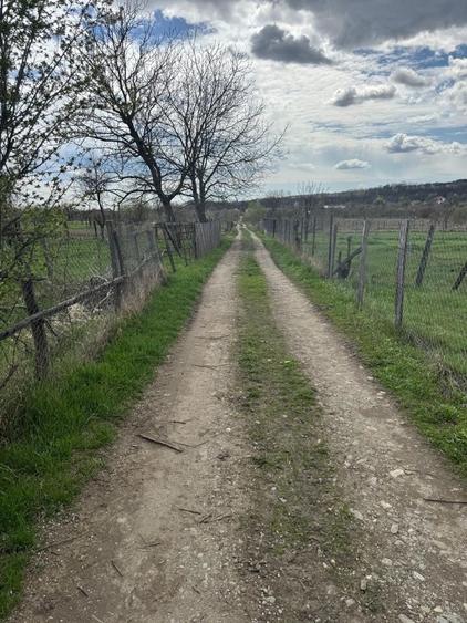 Teren intravilan! - 8