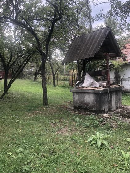 Casa batraneasca de vanzare in satul Martanus, Jud. Covasna - 3