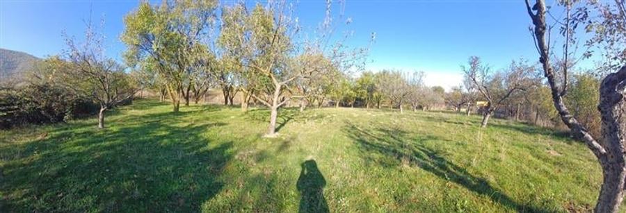 Teren de vanzare cu toate utilitatile la poarta - 3