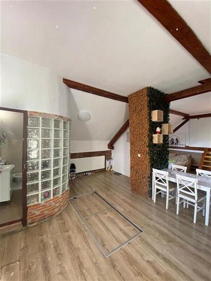 Oportunitate de investiție! Casă Săsească, teren 6 000 mp - 13