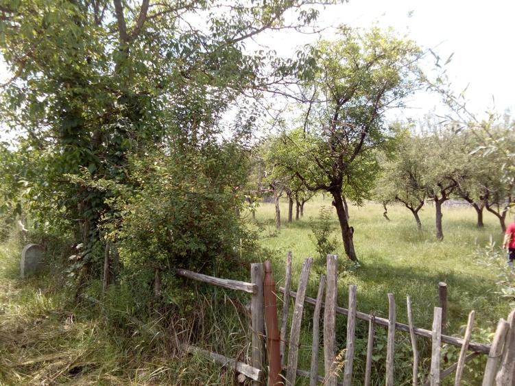 Mihaesti, Draghici - 9