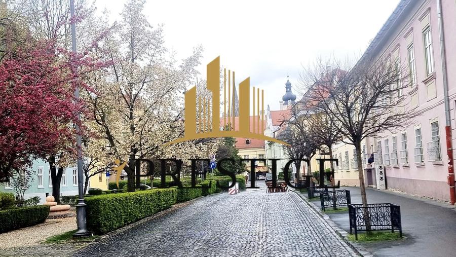 APARTAMENT ULTRACENTRAL SIBIU | 1 MIN PIAȚA MARE | 3 CAMERE | ETAJ 1 - 1