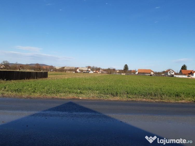 Teren intravilan central utilitati construibil Lunca Calnicului 2325mp. - 3