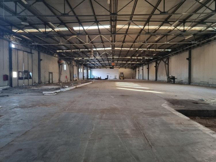 Hala 600 MP- Teren 15000-Otopeni-Centura Bucuresti - 4