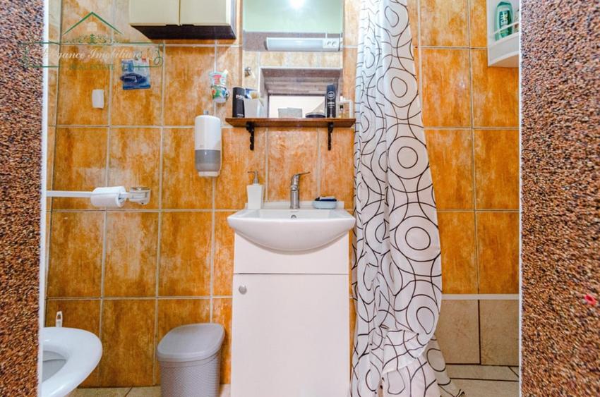 Apartament 2 camere la curte comuna, zona Ultracentrala, Arad - 5