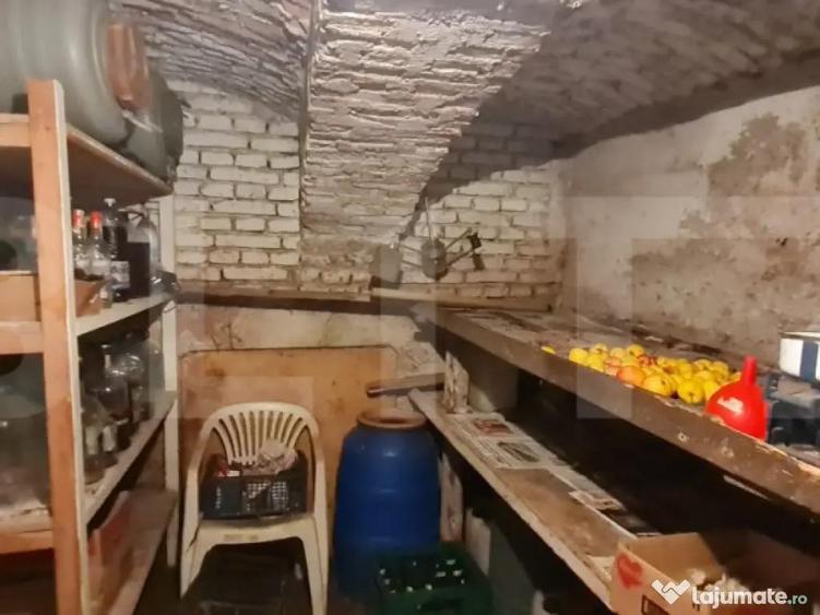 Oportunitate! Casa Bod pe un singur nivel, teren 980 mp pivn - 17